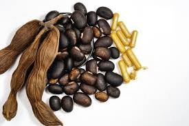 mucuna_pruriens